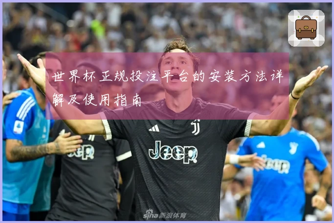 世界杯正规投注平台的安装方法详解及使用指南
